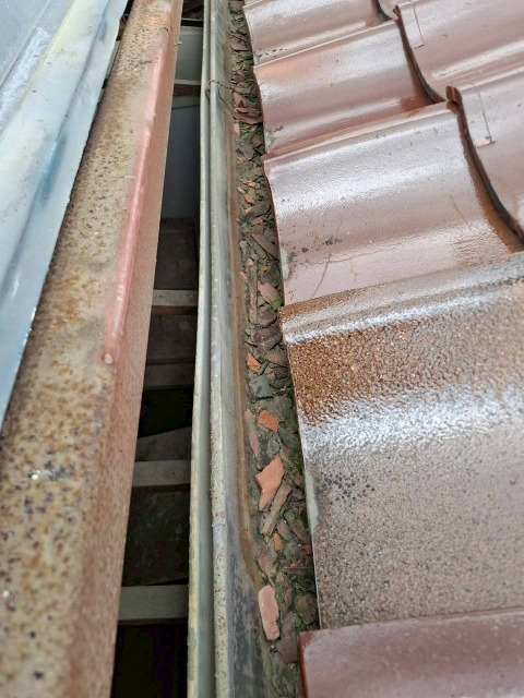 瓦際の解体前確認状況